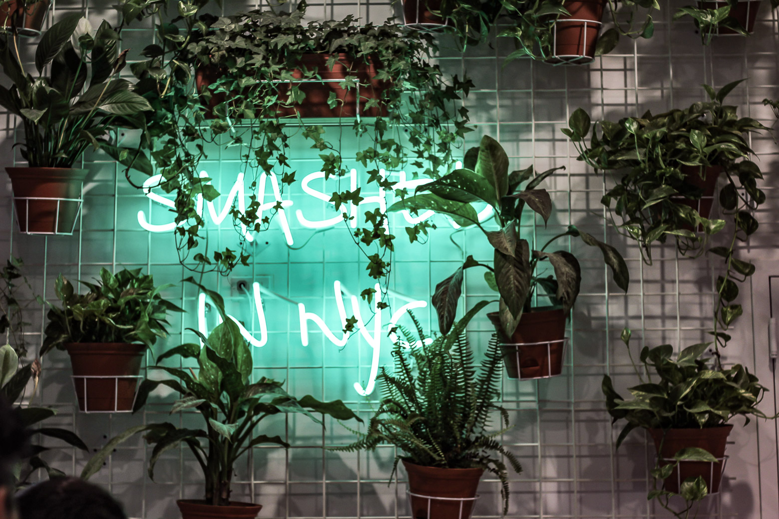 neon lights in Avocaderia that say Smashed In NYC