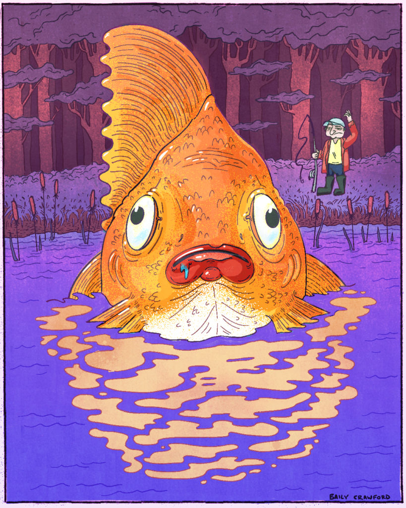 9lb Goldfish illustration